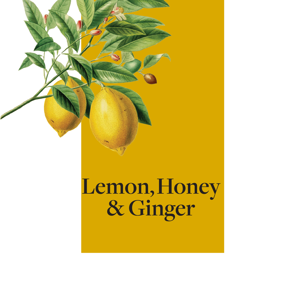 Bon Accord Lemon Honey Ginger Concentrate 1.5L