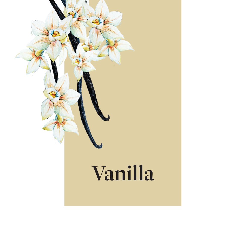 Bon Accord Vanilla Syrup 1.5L